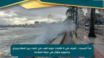 غداً السبت.. تعرف على 4 تقلبات جوية تهب على البلاد بين أمطار ورياح وشبورة وتؤثر على حركة الملاحة